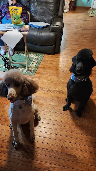 Four Paws Animal Hospital Picture 7