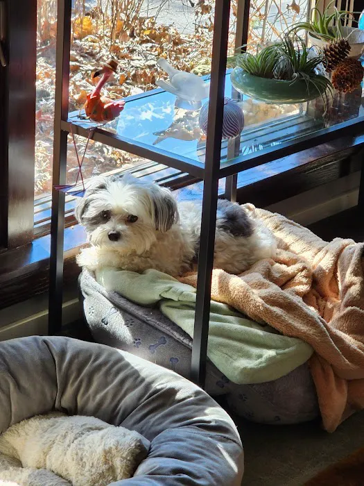 Four Paws Animal Hospital Picture 9