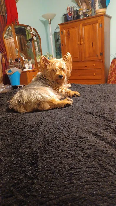 Banfield Pet Hospital Picture 4