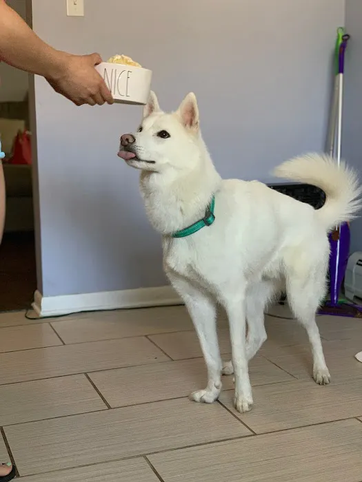 Banfield Pet Hospital Picture 2