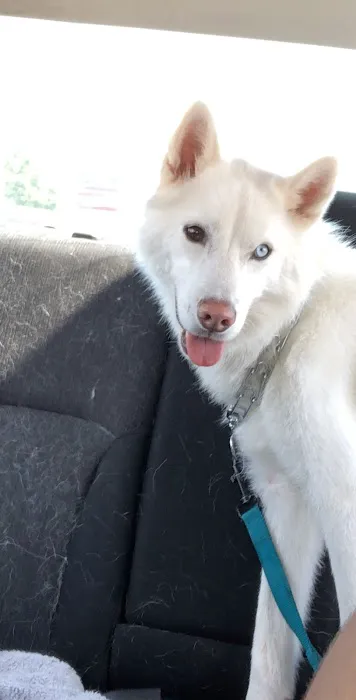 Banfield Pet Hospital Picture 1