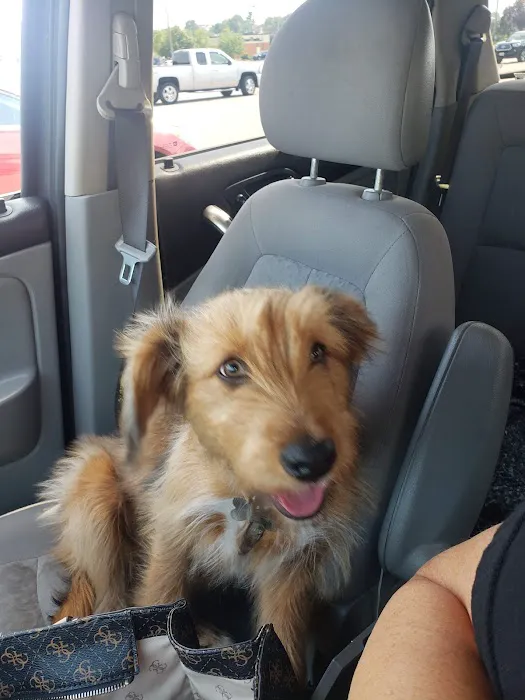 Banfield Pet Hospital Picture 6