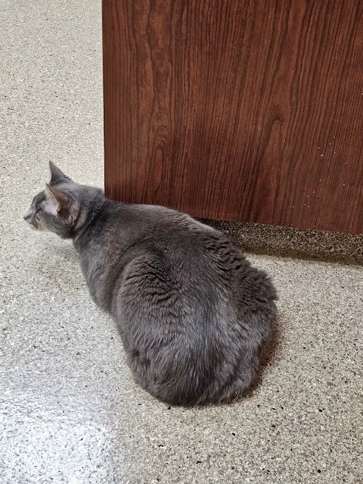 Healthy Pets Animal Hospital and Rehabilitation Center Picture 4