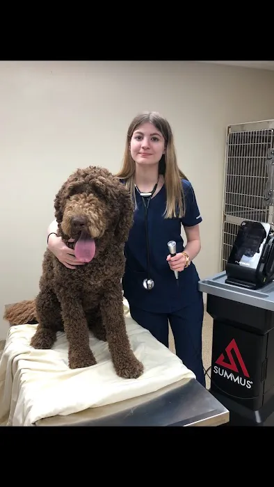 Healthy Pets Animal Hospital and Rehabilitation Center Picture 1