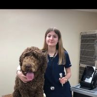 Healthy Pets Animal Hospital and Rehabilitation Center ico