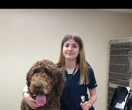 Healthy Pets Animal Hospital and Rehabilitation Center