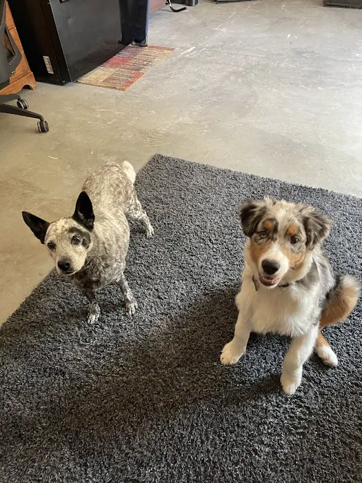 Healthy Pets Animal Hospital and Rehabilitation Center Picture 6