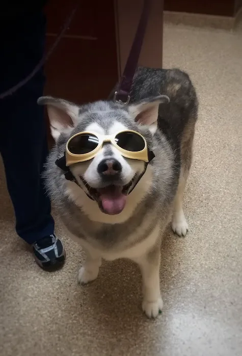 Healthy Pets Animal Hospital and Rehabilitation Center Picture 10