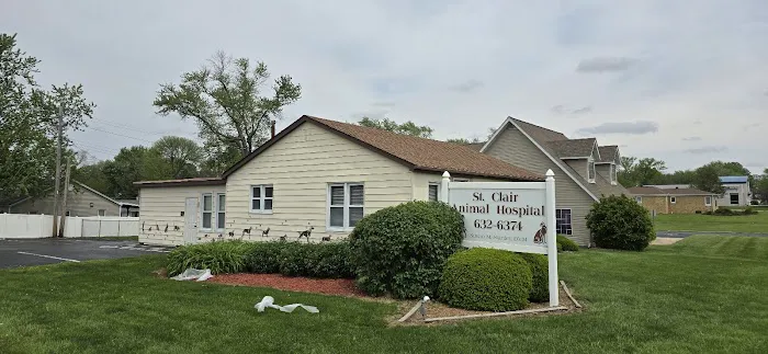 St Clair Animal Hospital Picture 3