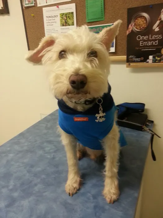 Burk Ellen DVM Picture 2