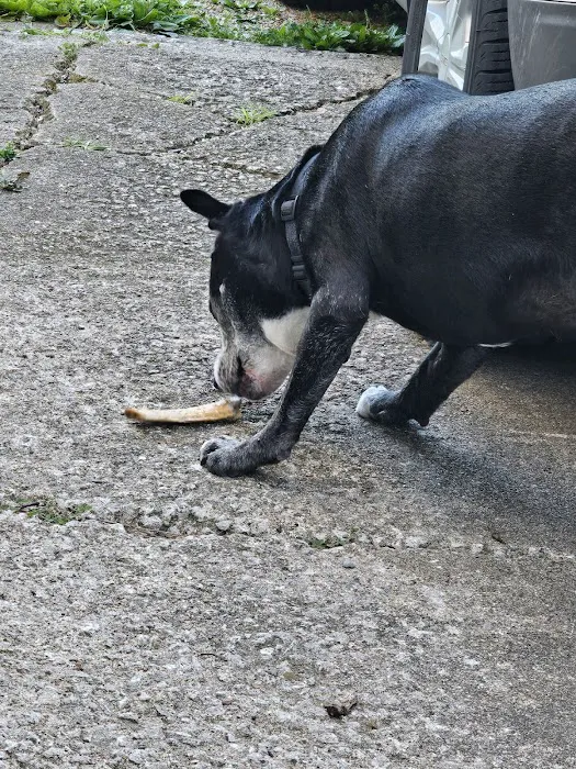 Belleville Animal Clinic Picture 1