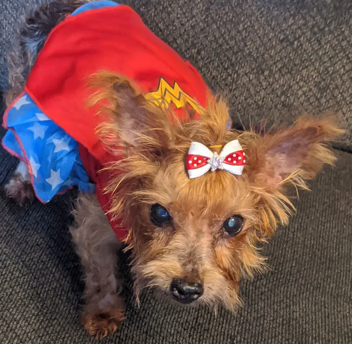 Belleville Animal Clinic Picture 3