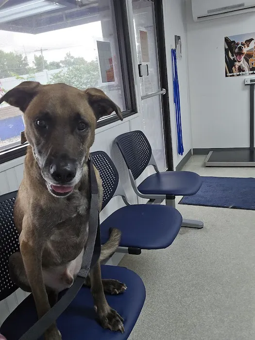 Belleville Animal Clinic Picture 2