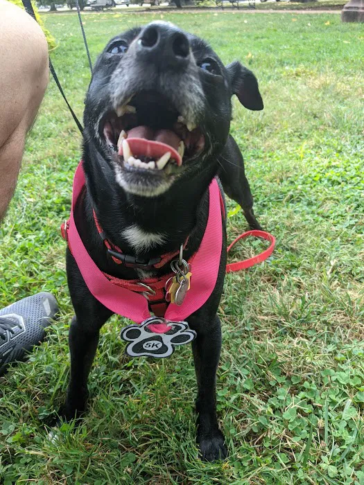 Belleville Animal Clinic Picture 6