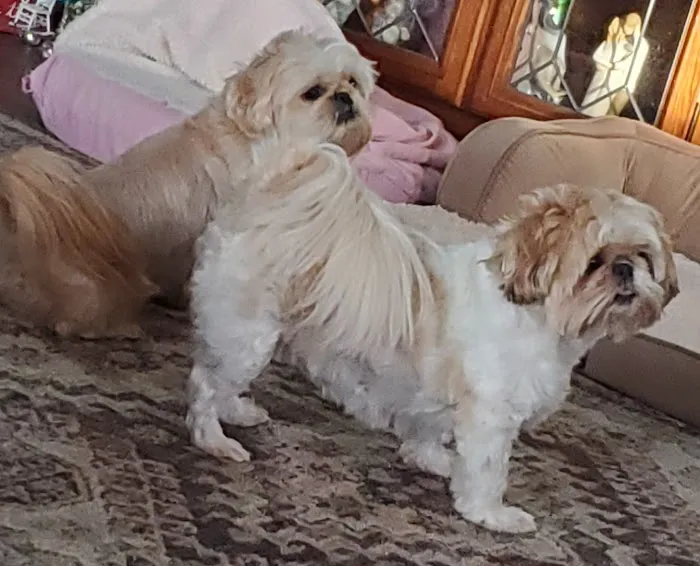 Best Friends Animal Hospital & Pet Resources Picture 1