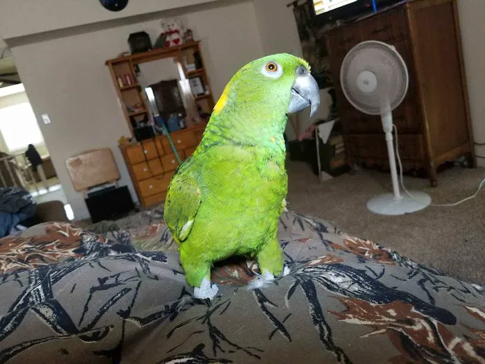 Best Friends Animal Hospital & Pet Resources Picture 6