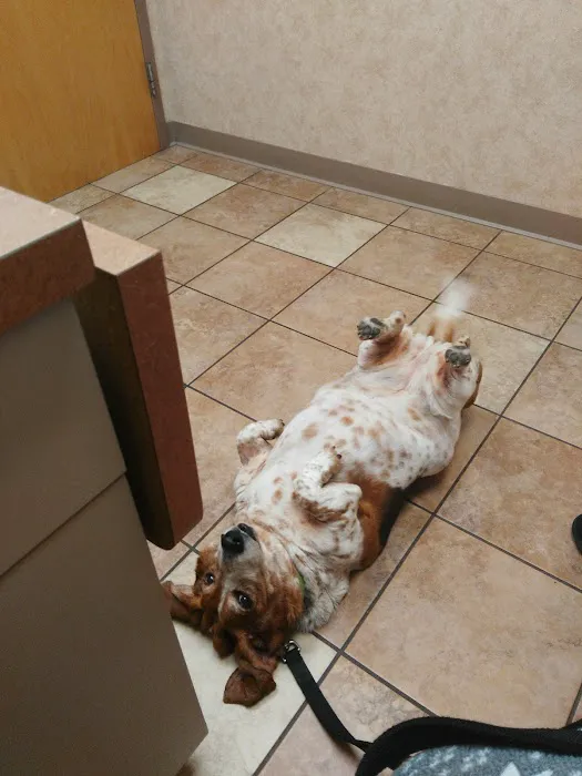 Best Friends Animal Hospital & Pet Resources Picture 5