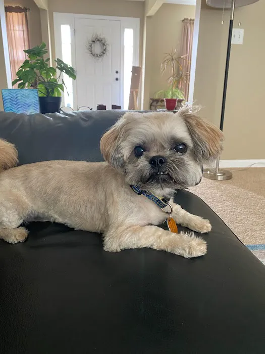 Fairview Heights Animal Clinic Picture 8