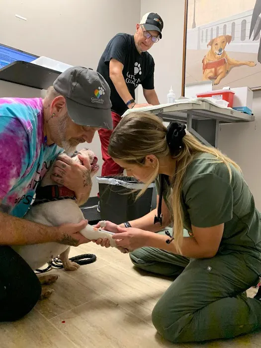 Veterinary Clinic (Gateway Pet Guardians) Picture 1