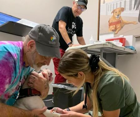 Veterinary Clinic (Gateway Pet Guardians)