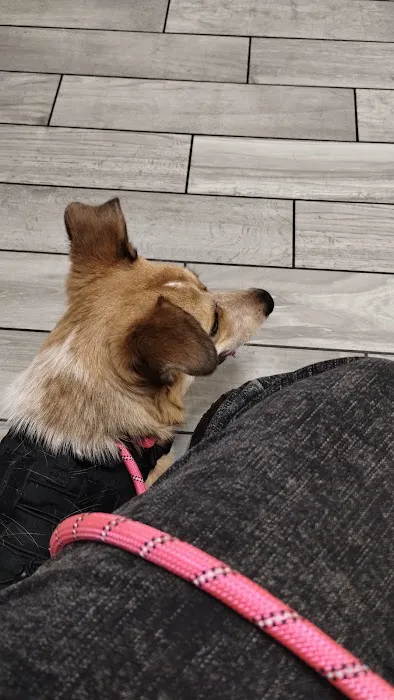 Kingsbury Animal Hospital Picture 1