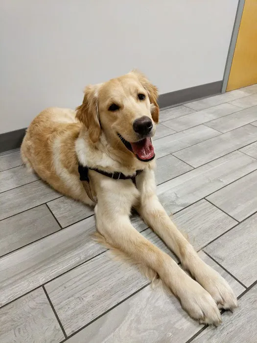 Kingsbury Animal Hospital Picture 2