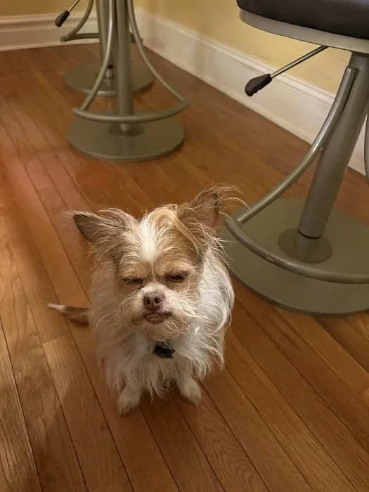 Kingsbury Animal Hospital Picture 3