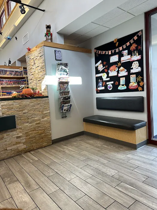 Kingsbury Animal Hospital Picture 6