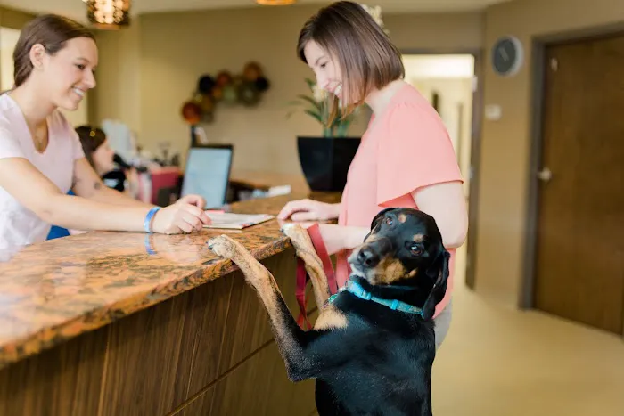 My Best Friend Veterinary Center Picture 1