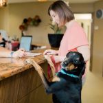 My Best Friend Veterinary Center