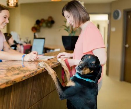 My Best Friend Veterinary Center