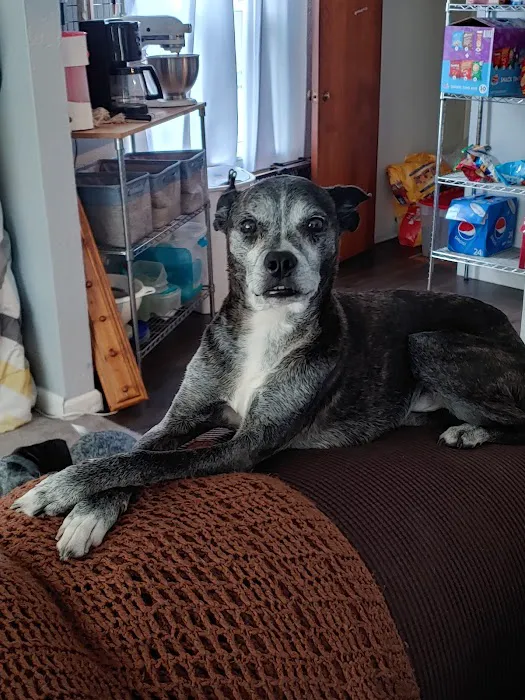 My Best Friend Veterinary Center Picture 2