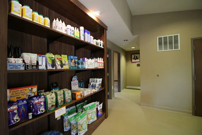 My Best Friend Veterinary Center Picture 7