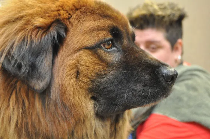 My Best Friend Veterinary Center Picture 8