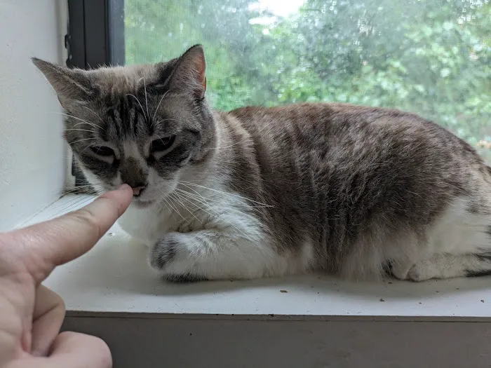 My Best Friend Veterinary Center Picture 9