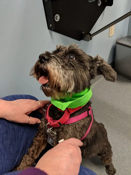 Animal Medical Center Mid-America Maryland Heights Picture 3