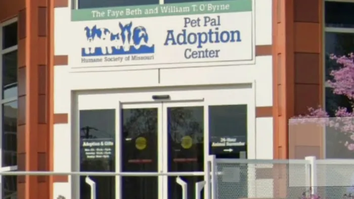 Animal Medical Center Mid-America Maryland Heights Picture 10