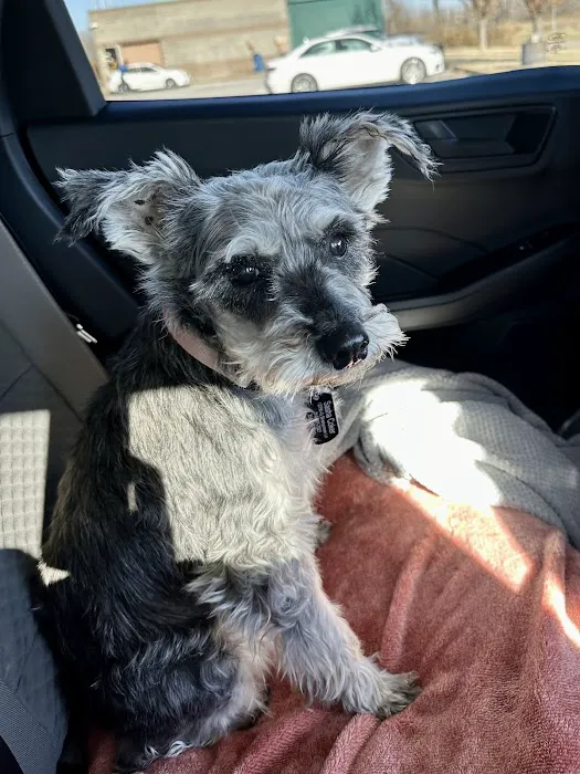 Bridgeton Animal Hospital Picture 3