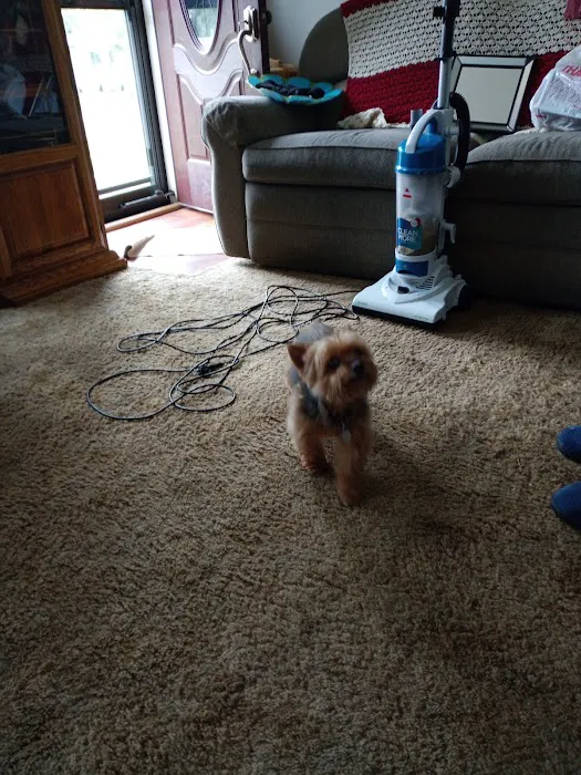 Bridgeton Animal Hospital Picture 1