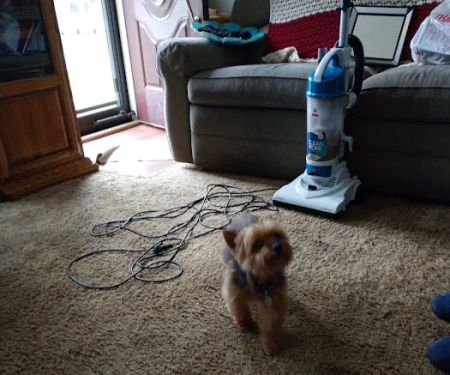 Bridgeton Animal Hospital