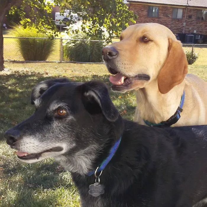 Bridgeton Animal Hospital Picture 8