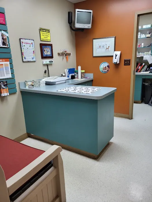 Bridgeton Animal Hospital Picture 7