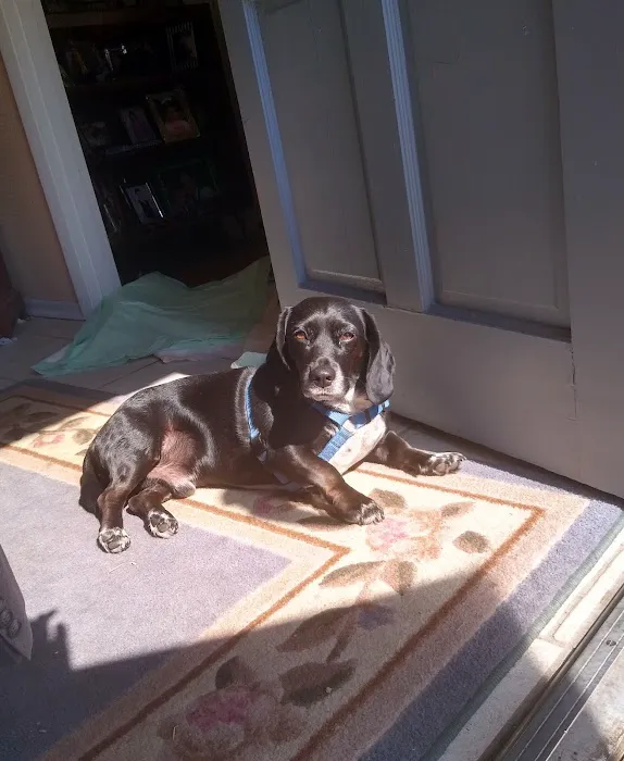 Bridgeton Animal Hospital Picture 9