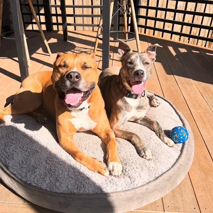 Family Animal Hospital Picture 3