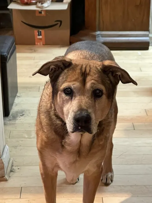 Family Animal Hospital Picture 5