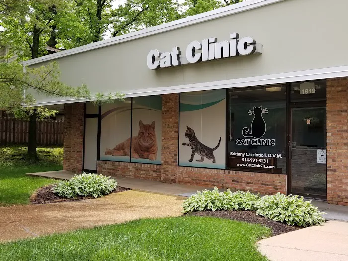Cat Clinic Picture 5