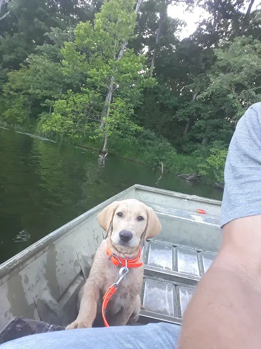 St Charles Animal Hospital Picture 8