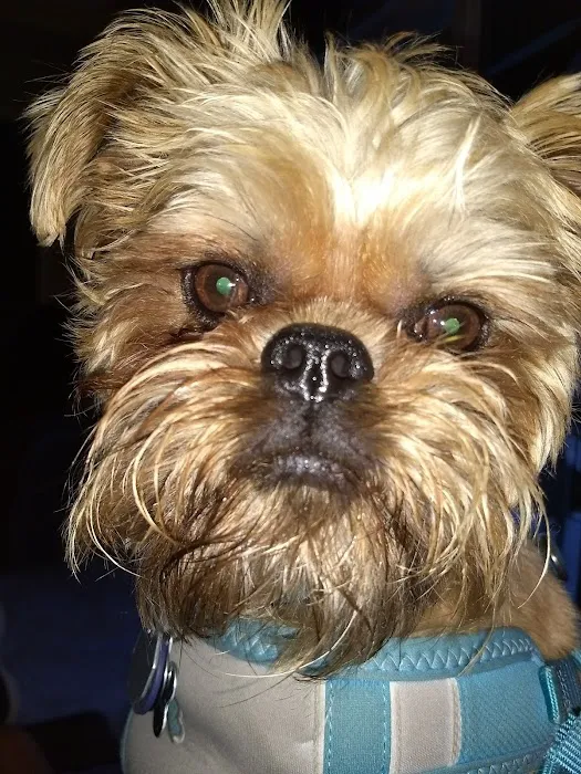 St Charles Animal Hospital Picture 9