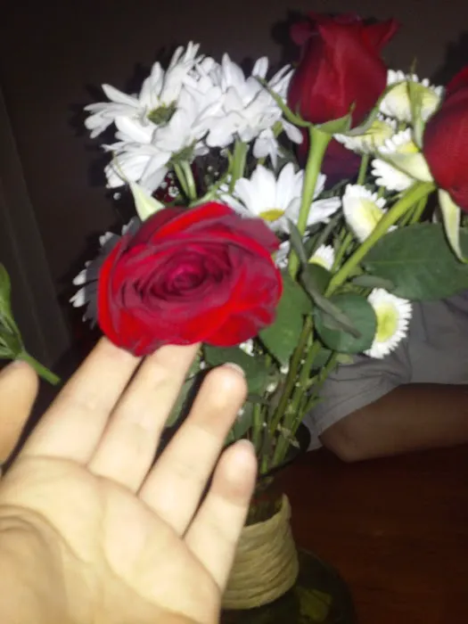 St Charles Animal Hospital Picture 10