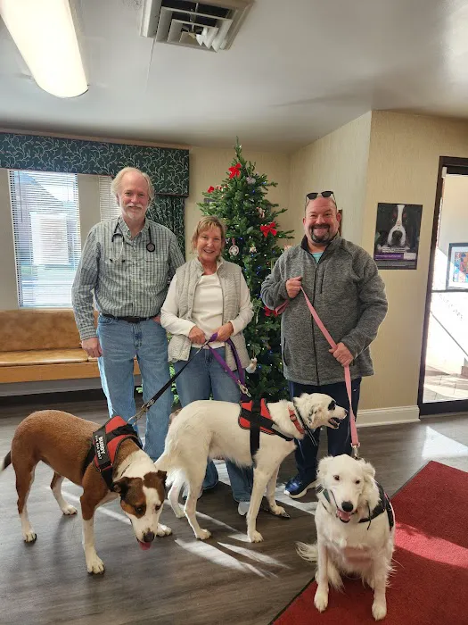 First Capitol Animal Hospital LLC Picture 3